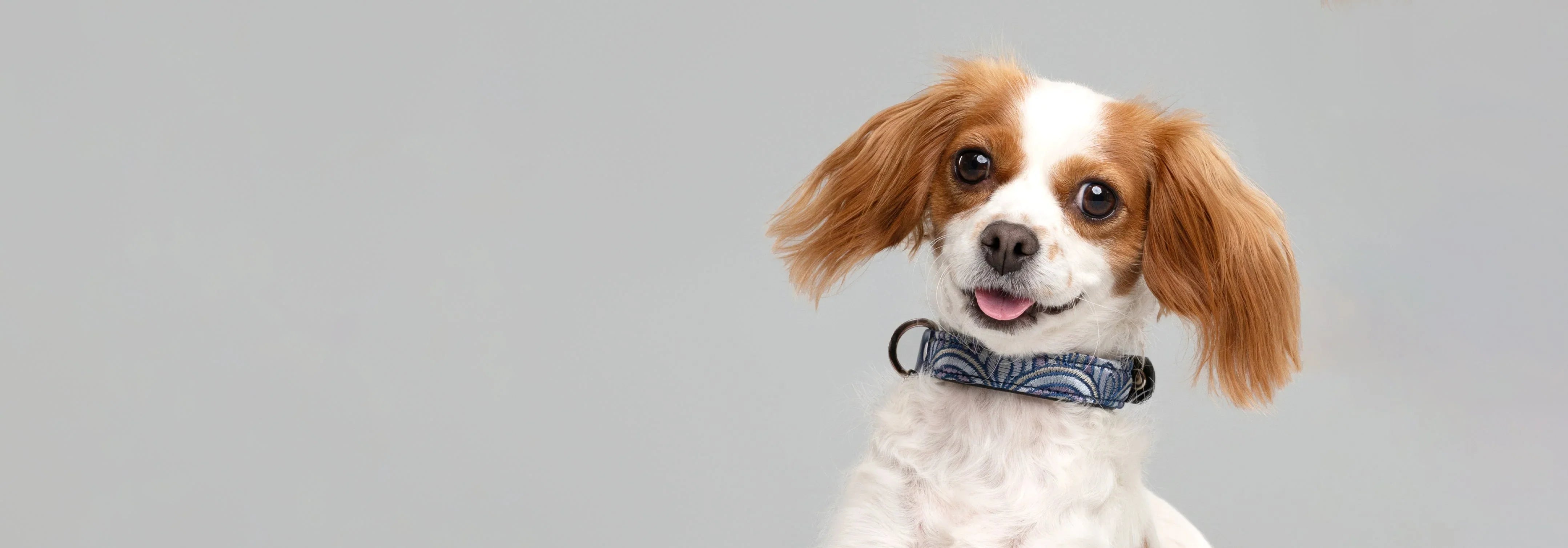 Collars