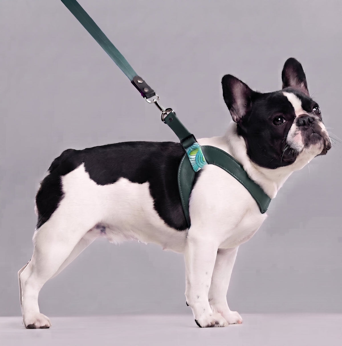 Cubic Leather Vest Harness