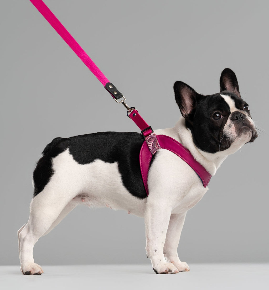 Cubic Leather Vest Harness
