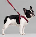 Cubic Leather Vest Harness