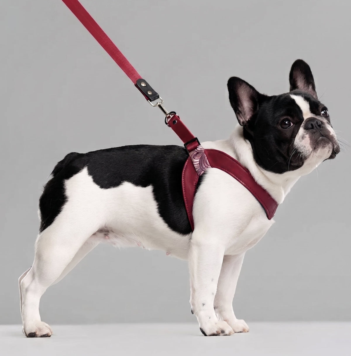 Cubic Leather Vest Harness