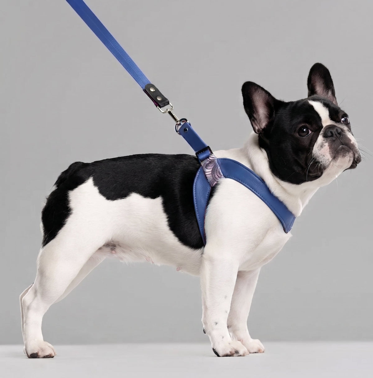 Cubic Leather Vest Harness