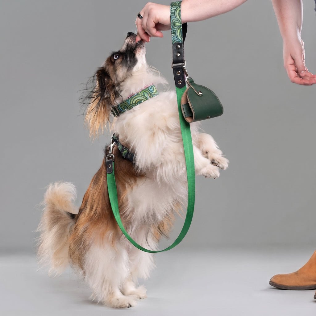 Arches Leather & Nylon Leash