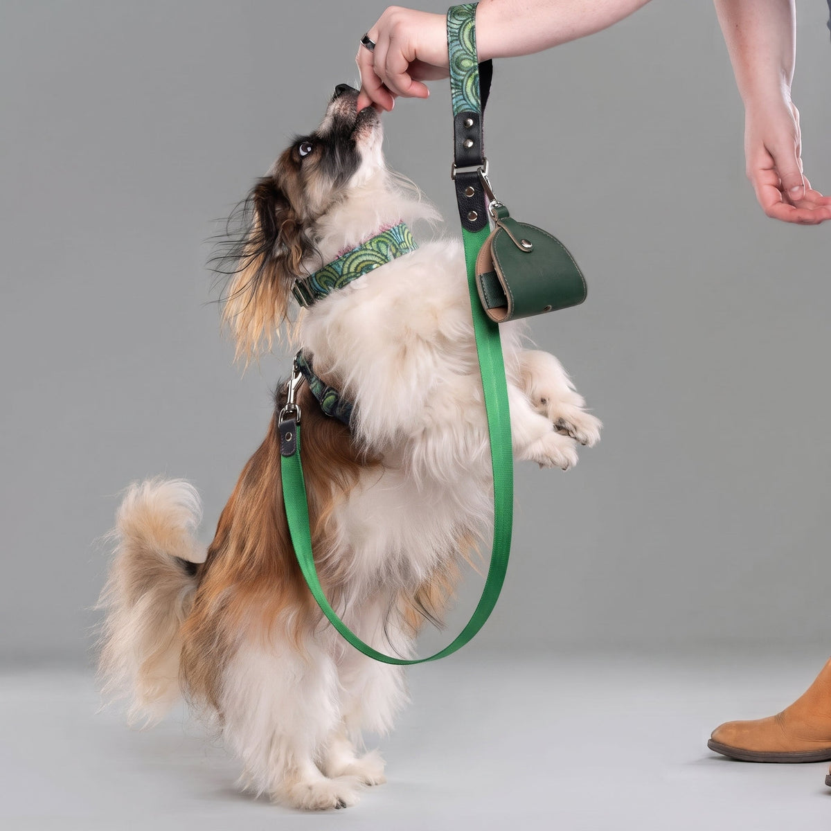 Arches Leather & Nylon Leash