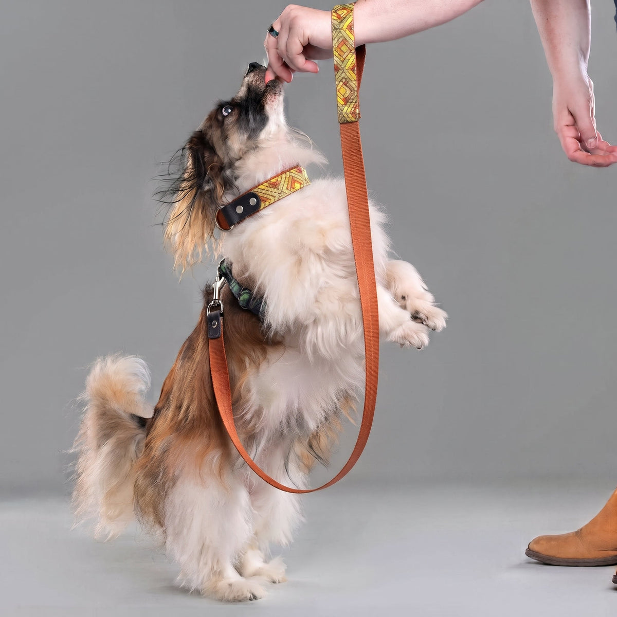 Arches Leather & Nylon Leash
