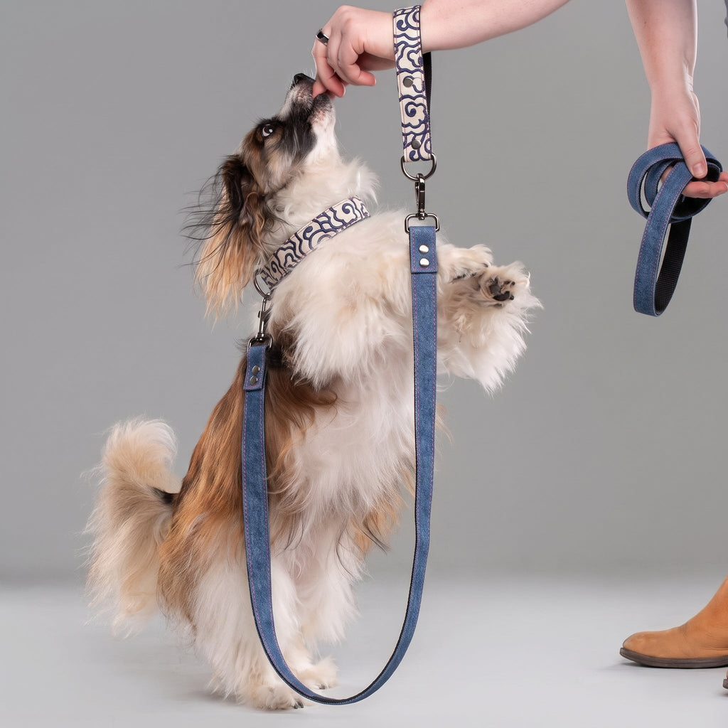Cumulus Denim Leash