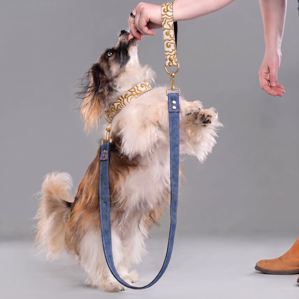 Cumulus Denim Leash