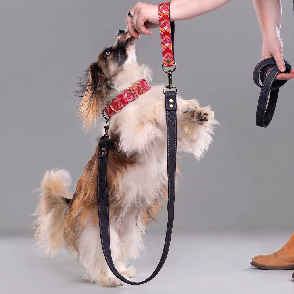 Prism Denim Leash